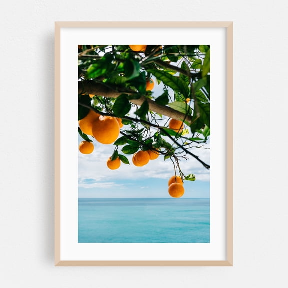 Amalfi Coast Oranges IV - Positano Campania Italy Photography Fruit Coastal Tropical Nature Seaside Ocean Botanical Oak Framed Wall Art Print 20 x 30 inches