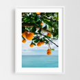 thumbnail image 1 of Amalfi Coast Oranges IV - Positano Campania Italy Photography Fruit Coastal Tropical Nature Seaside Ocean Botanical White Framed Wall Art Print 5 x 7 inches, 1 of 1