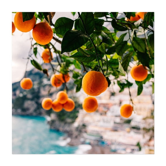 Amalfi Coast Oranges - Positano Campania Italy Photography Fruit Tropical Coastal Seascape Scenic Botanical Nature Unframed Wall Art Print 20 x 20 inches
