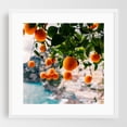 thumbnail image 1 of Amalfi Coast Oranges - Positano Campania Italy Photography Fruit Tropical Coastal Seascape Scenic Botanical Nature White Framed Wall Art Print 16 x 16 inches, 1 of 1