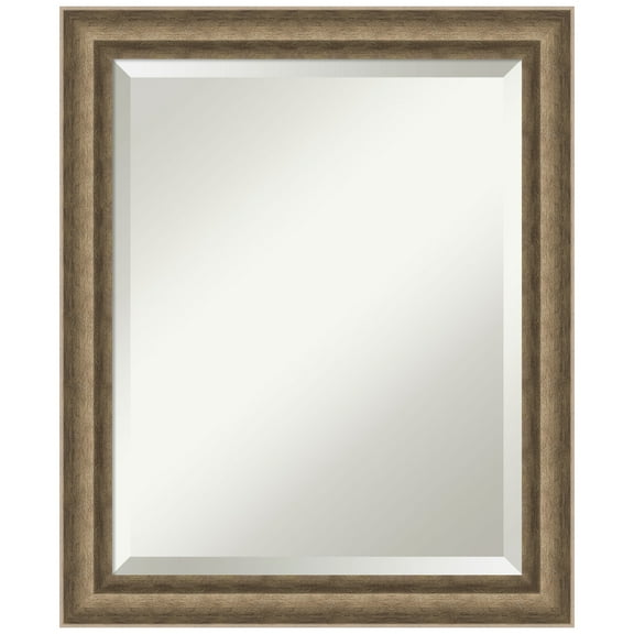 Amanti Art Angled Bronze Beveled Wood Bathroom Wall Mirror