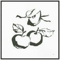 thumbnail image 1 of Amanti Art Apples BW Framed Canvas Wall Art Print, 1 of 8