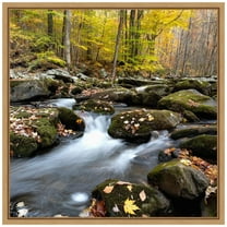 Amanti Art Autumn Rush Framed Canvas Wall Art Print