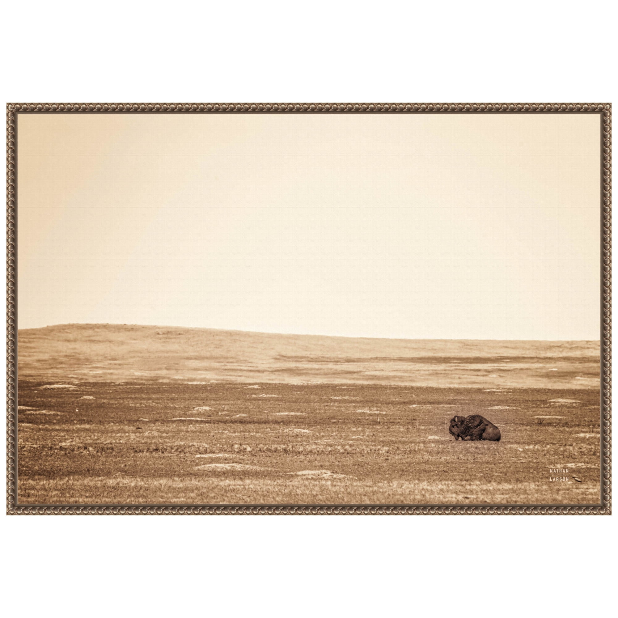 33" x 23" Sepia Bison Landscape Framed Canvas Wall Art
