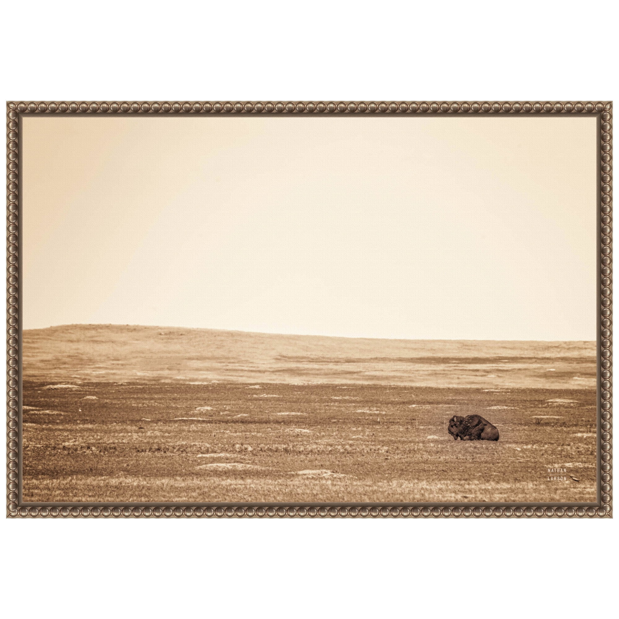 Sepia Bison Landscape Framed Canvas Wall Art 23 x 16