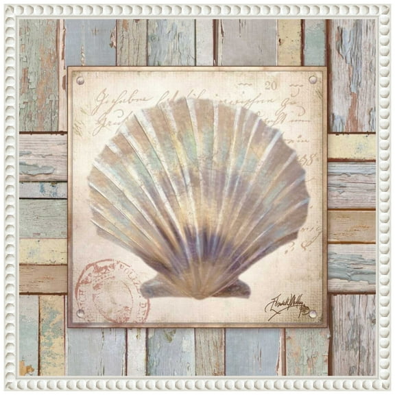 Amanti Art Beach Shell I Framed Canvas Wall Art Print