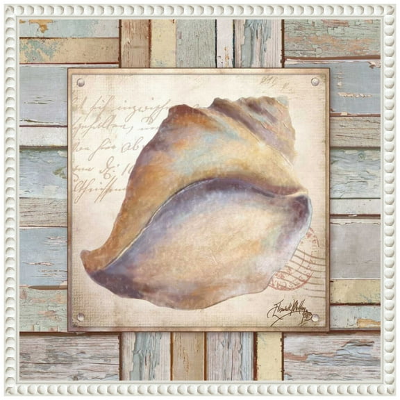 Amanti Art Beach Shell II Framed Canvas Wall Art Print