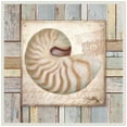 thumbnail image 1 of Amanti Art Beach Shell III Framed Canvas Wall Art Print, 1 of 1