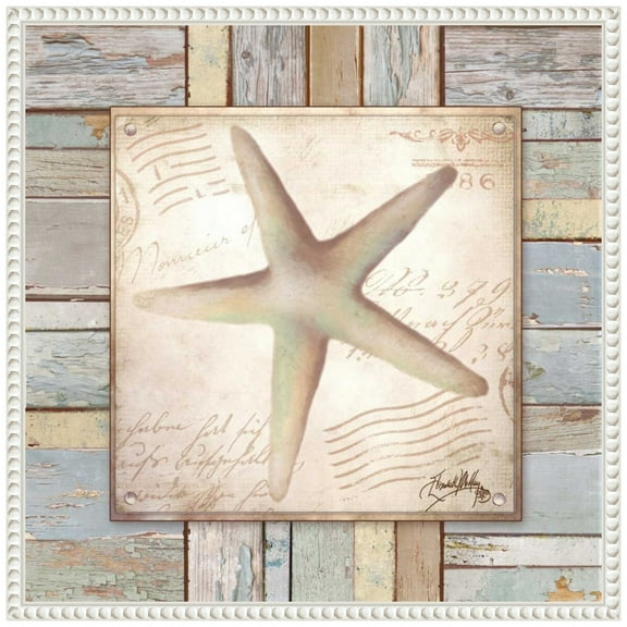 Amanti Art Beach Shell IV Framed Canvas Wall Art Print