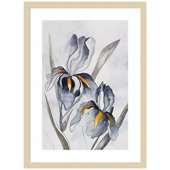 Amanti Art Black Iris Wood Framed Wall Art Print