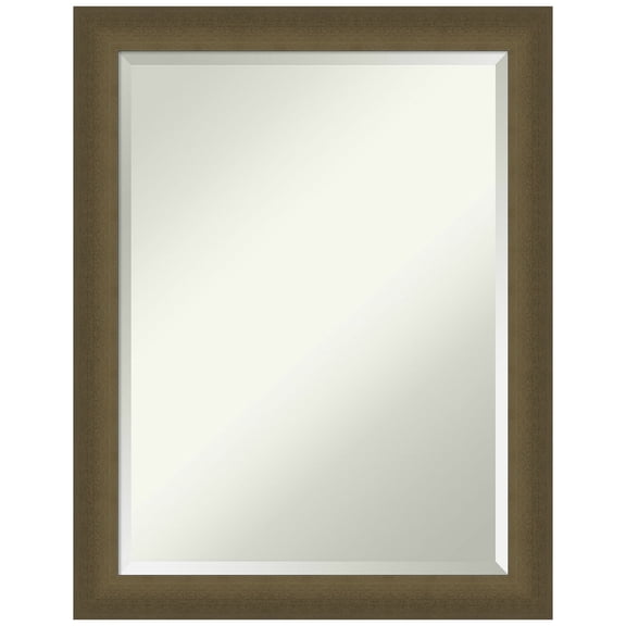 Amanti Art Blaine Light Bronze Narrow Beveled Wall Mirror 27.5 x 21.5 in.