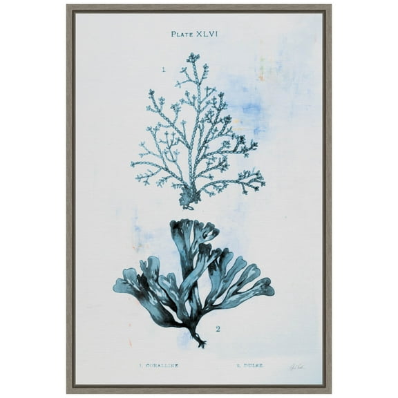 Amanti Art Blue Bay VIII Framed Canvas Wall Art Print