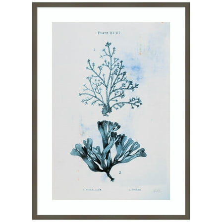 Amanti Art Blue Bay VIII Wood Framed Wall Art Print