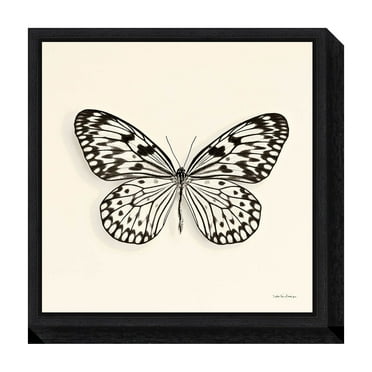 Amanti Art Butterfly V Crop Framed Canvas Wall Art