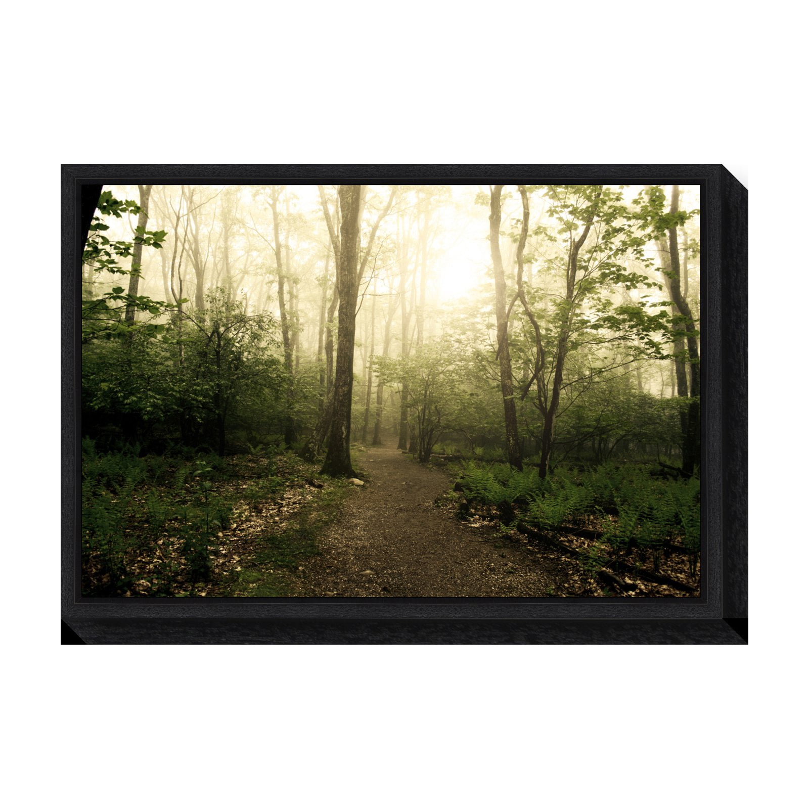 Appalachian Trail Forest Path Black Framed Canvas Wall Art
