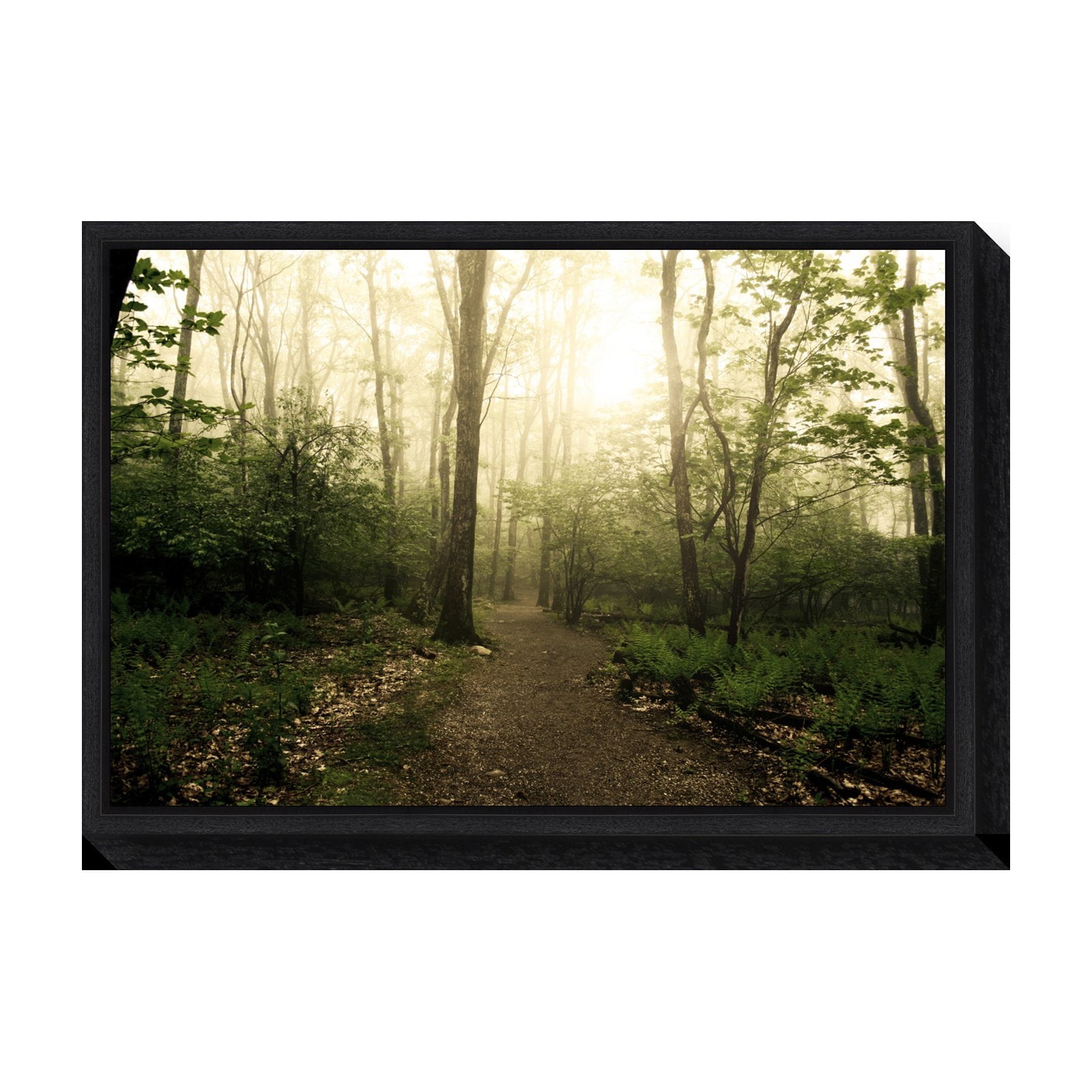 Appalachian Trail Forest Path Black Framed Canvas Wall Art