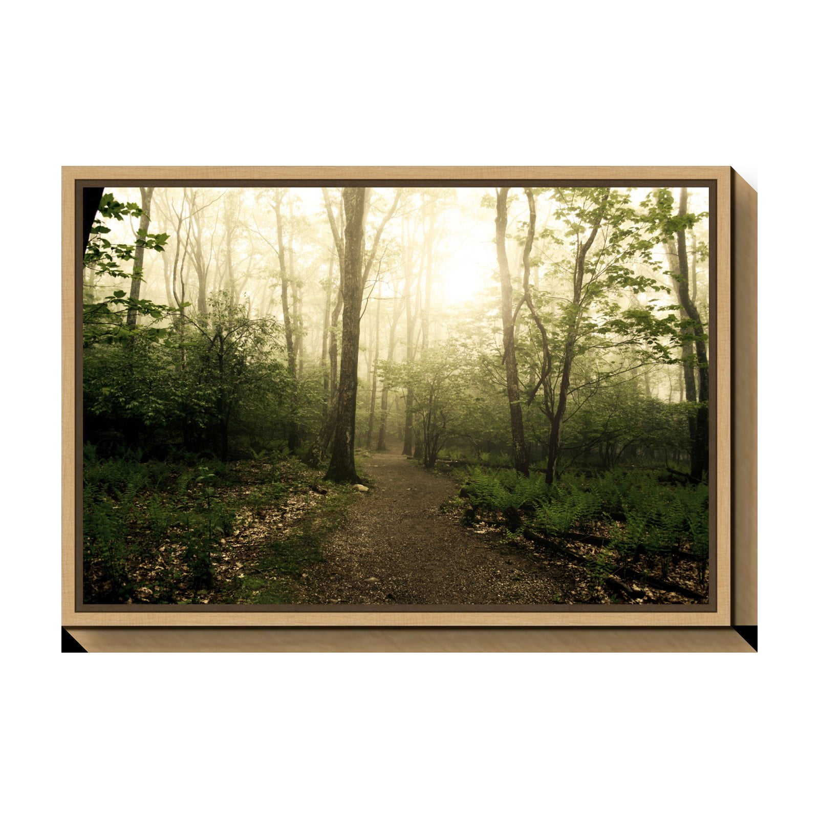 Sylvie Maple Framed Appalachian Trail Canvas Art Print