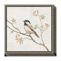 Amanti Art Canvas Art Framed Black Capped Chickadee Vintage