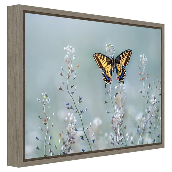 Amanti Art Canvas Art Framed Swallowtail beauty by Petar Sabol