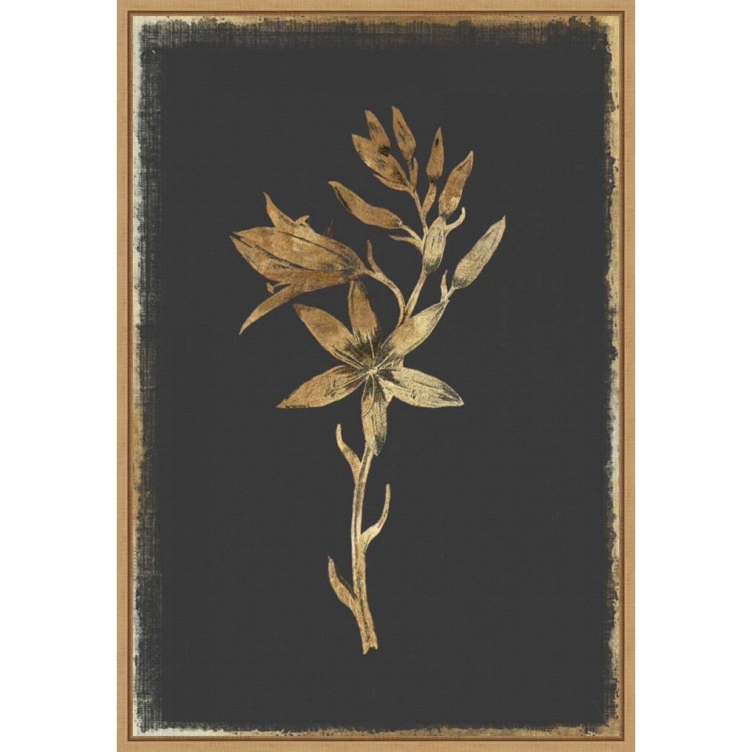 23" x 16" Gold Hyacinth on Black Framed Canvas Wall Art