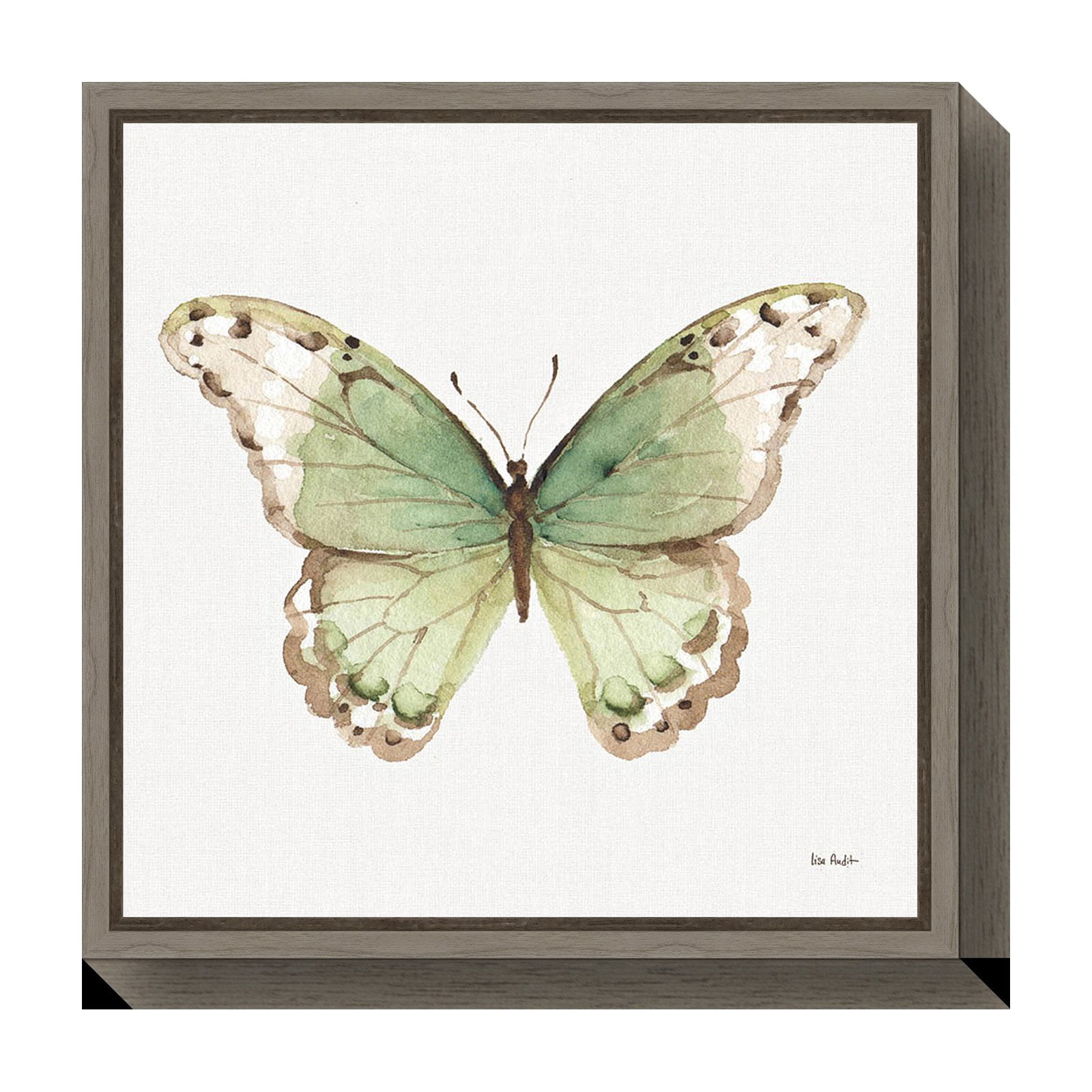 Colorful Breeze XII Butterfly Green and Brown Canvas Art with Greywash Frame