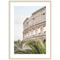 Amanti Art Colosseum Wood Framed Wall Art Print