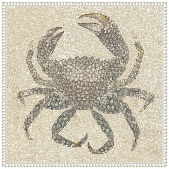 Amanti Art Crab I Framed Canvas Wall Art Print