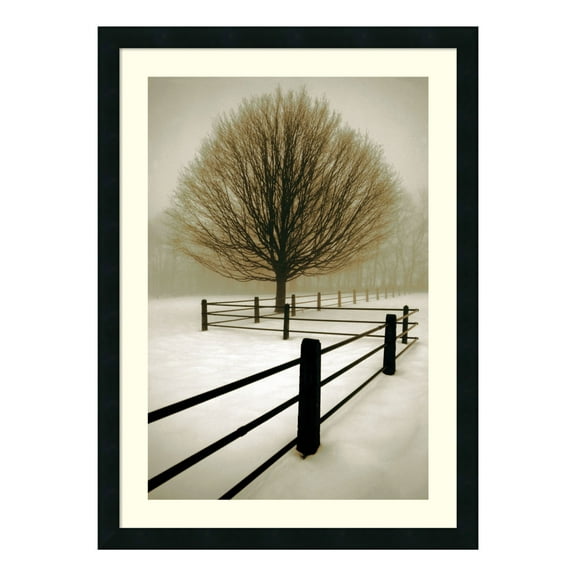 Amanti Art David Lorenz Winston "Solitude" Framed Print Art 32.88" x 24.5" DSW01114