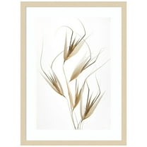 Amanti Art Delicacy of Nature Wood Framed Wall Art Print