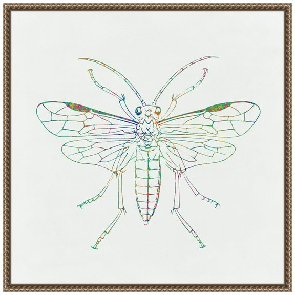 Amanti Art Dragonfly Drawing Framed Canvas Wall Art Print