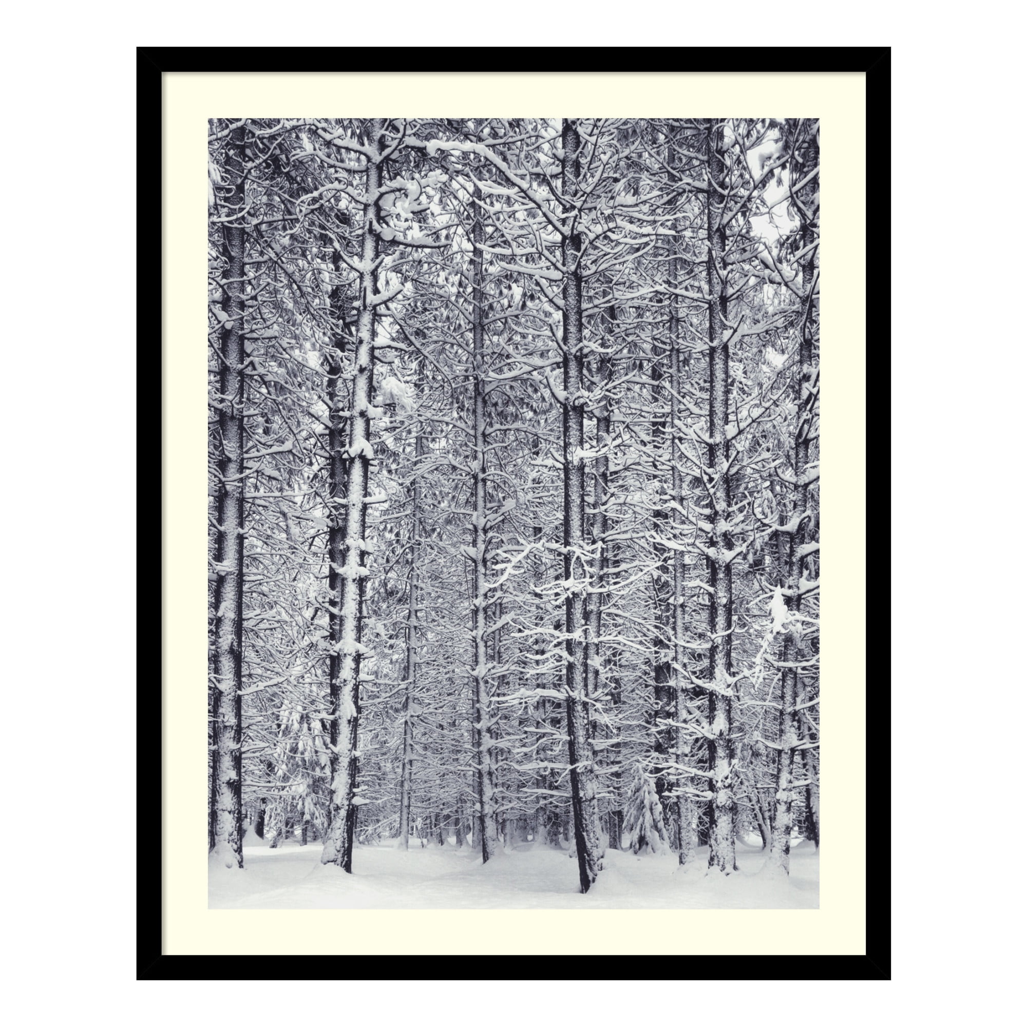 Black Satin Framed Pine Forest Snow Landscape Print