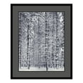 thumbnail image 1 of Amanti Art Dsw01387 33-1/4" X 27-1/4" "Pine Forest In The Snow, Yosemite National Park", 1 of 2