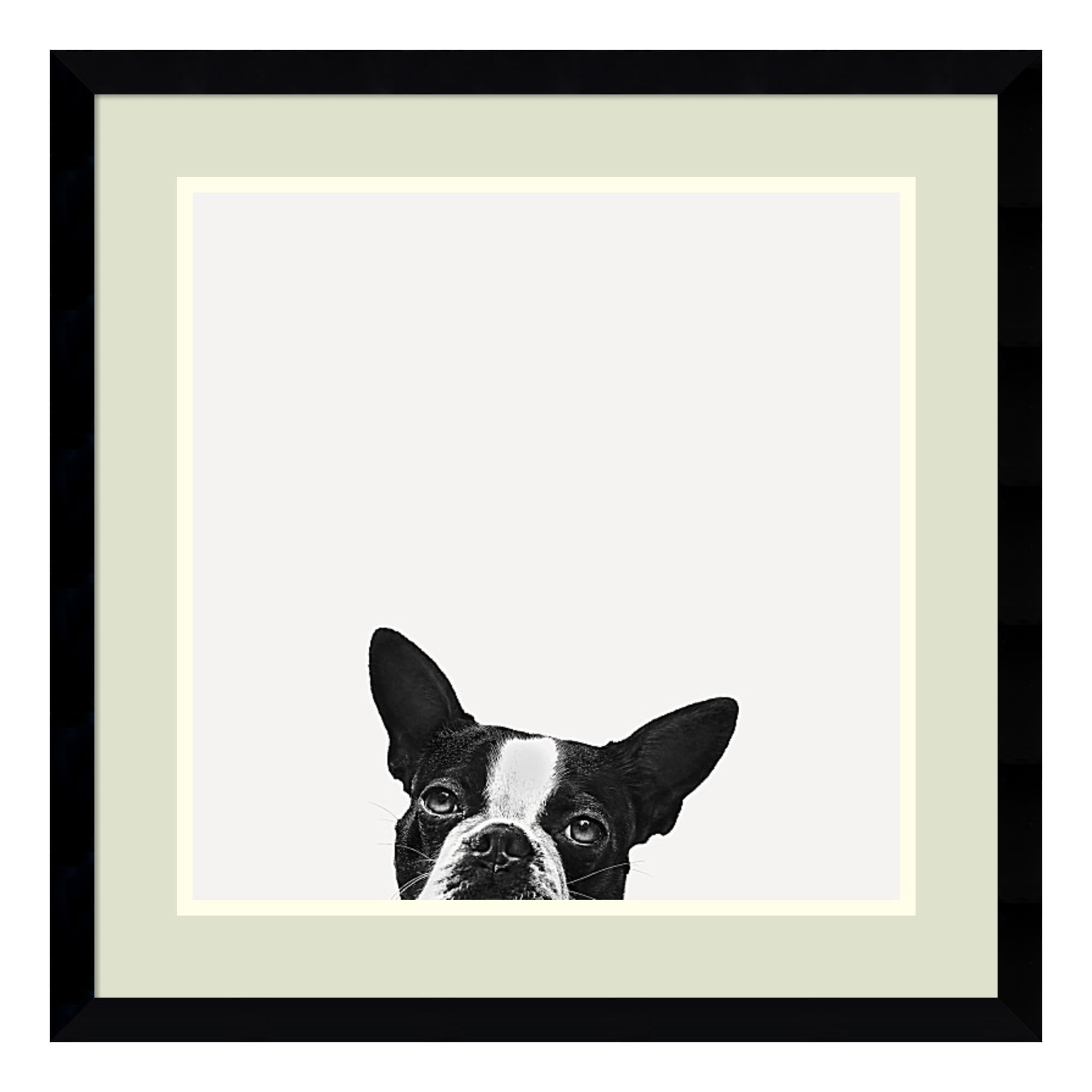 Loyalty Black and White Dog Framed Art Print 20x20