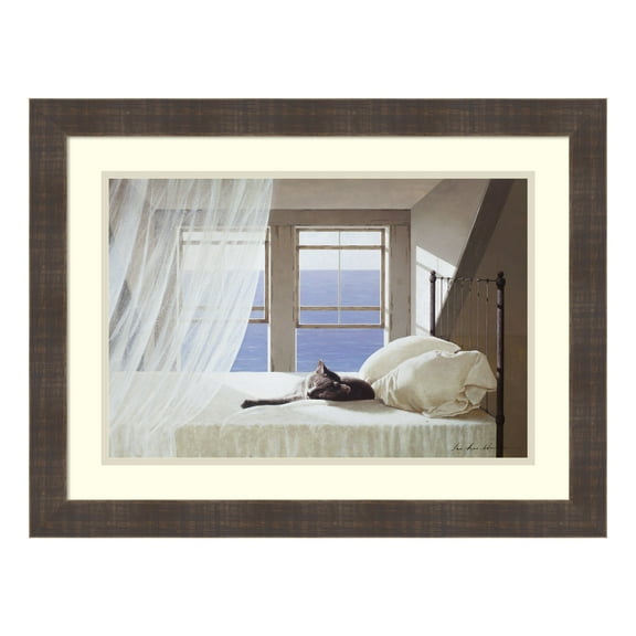 Amanti Art Dsw3317119 18-1/2" X 24-1/2" "Nap Time" Framed Art Print On Paper By Zhen-Huan