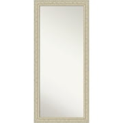 Amanti Art Dsw4093753 65-1/2" X 29-1/2" Rectangular Flat Wood Framed Full Length Mirror