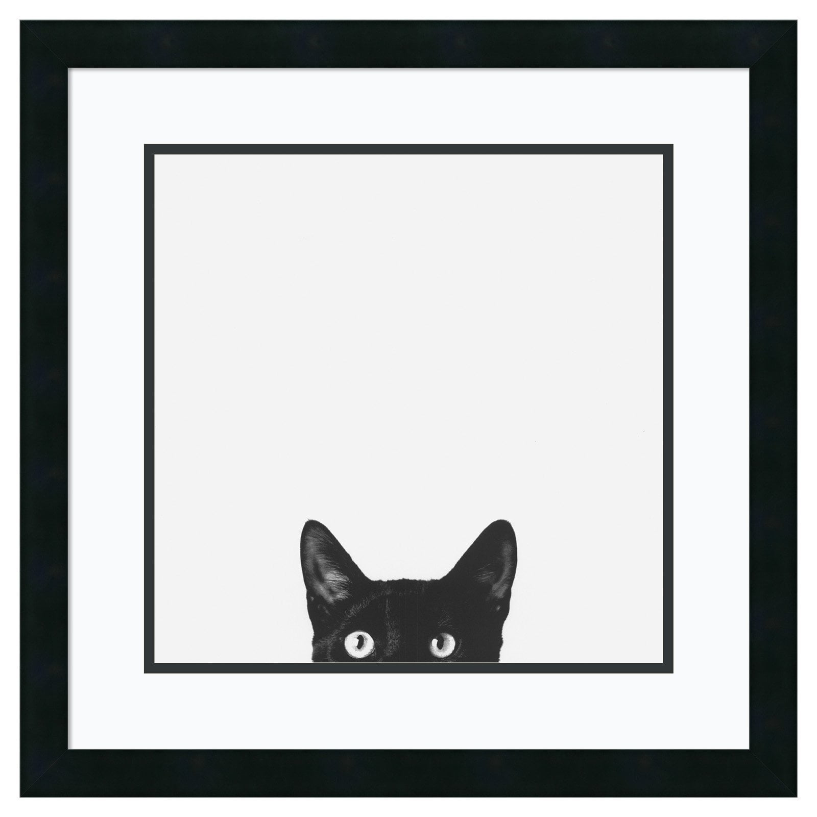 Curiosity Black Cat Framed Art Print in Black Wood