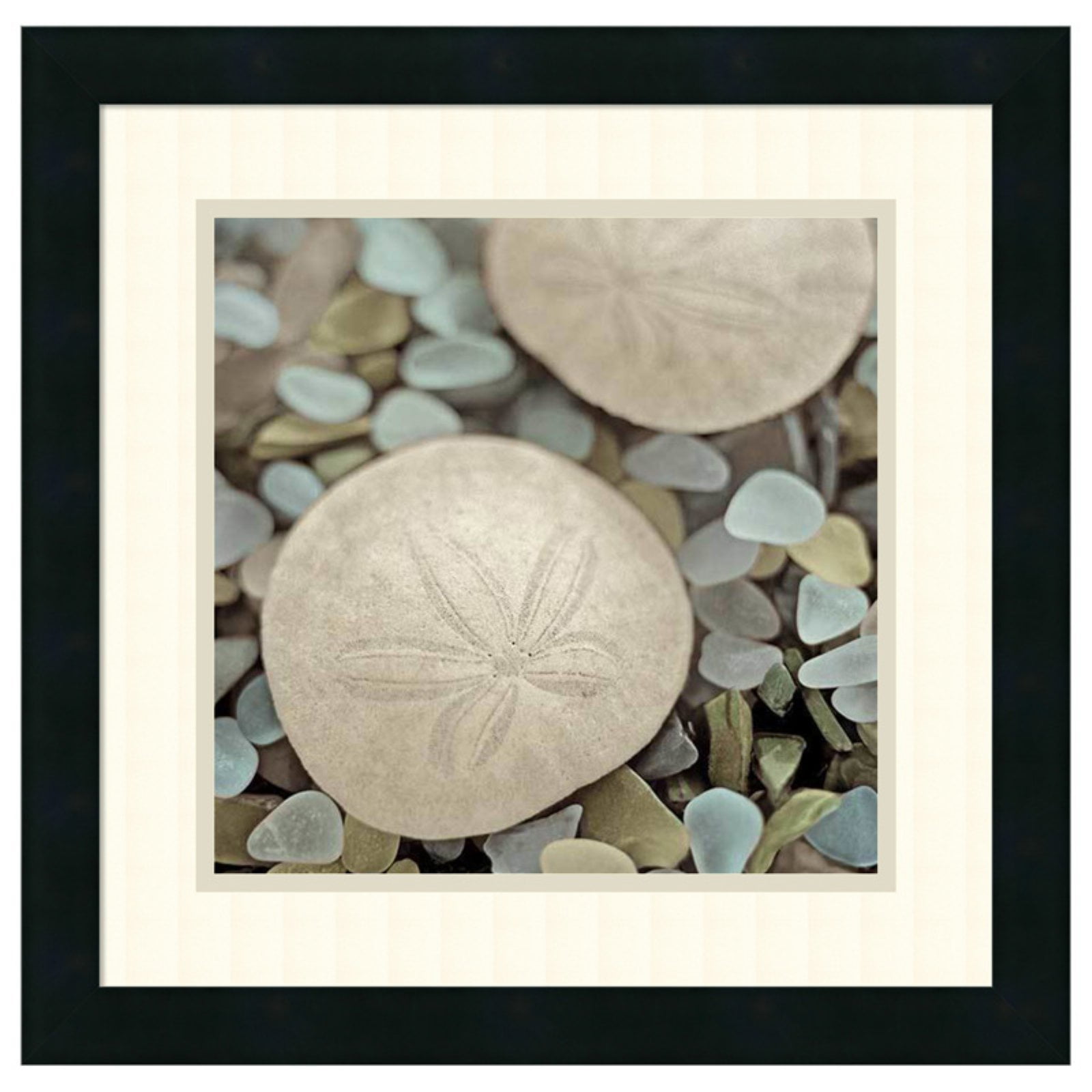 Aquatic Sand Dollar and Sea Glass Framed Print