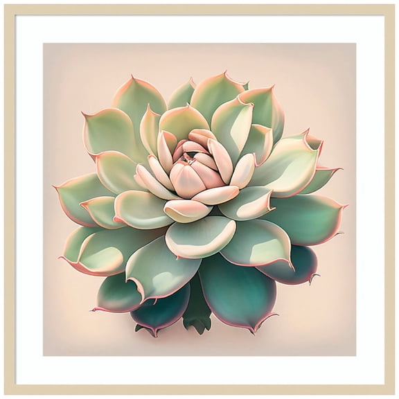 Amanti Art Echeveria Pulidinis Wood Framed Wall Art Print