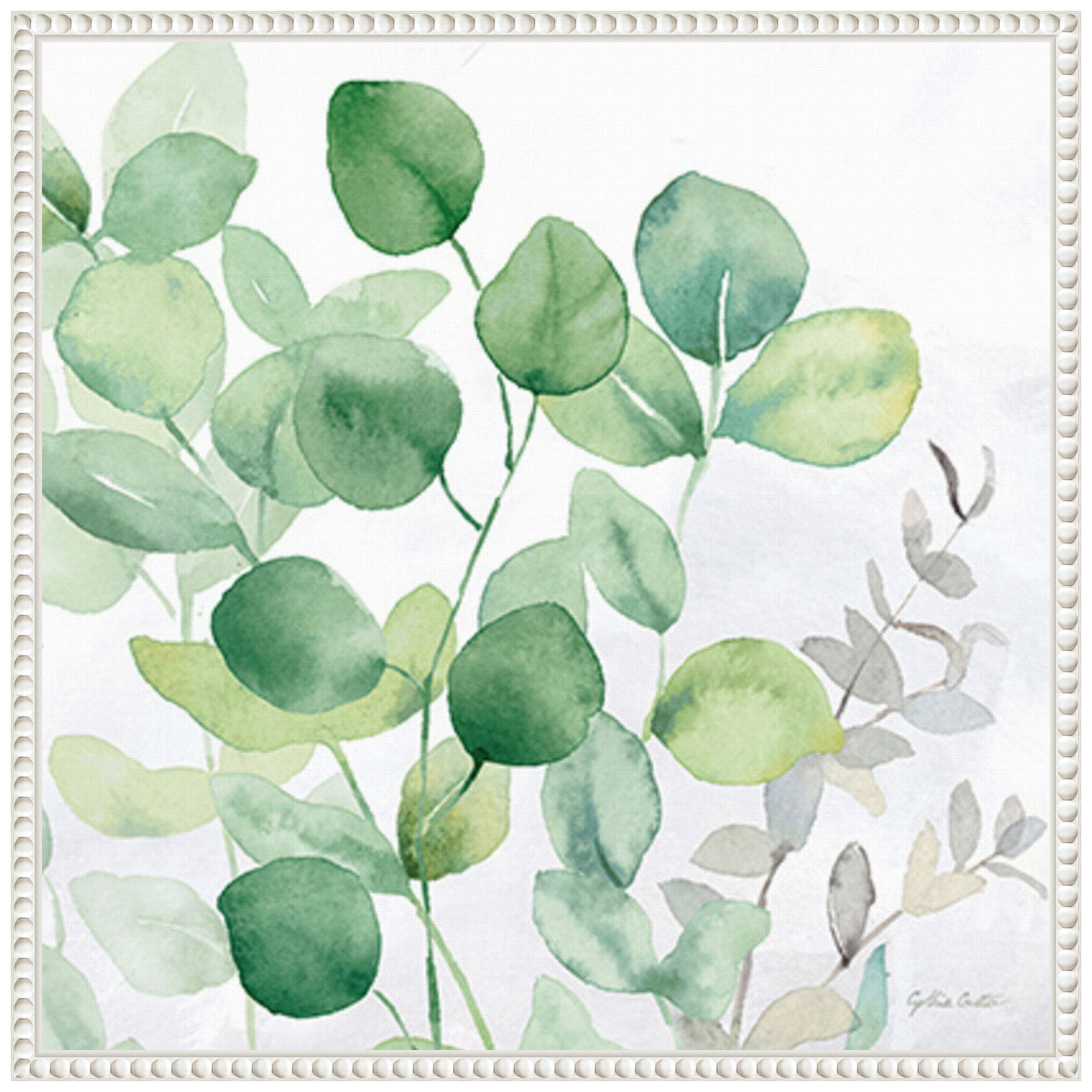 Eucalyptus Leaves II Green and White Canvas Wall Art with Floater Frame