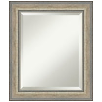 Amanti Art Fleur Silver Beveled Wood Wall Mirror 25.25 x 21.25 in.
