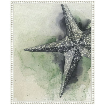 Amanti Art Found Starfish II Framed Canvas Wall Art Print
