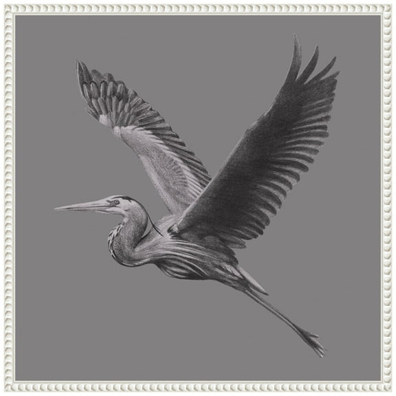 Amanti Art Great Grayscale Heron II Framed Canvas Wall Art Print