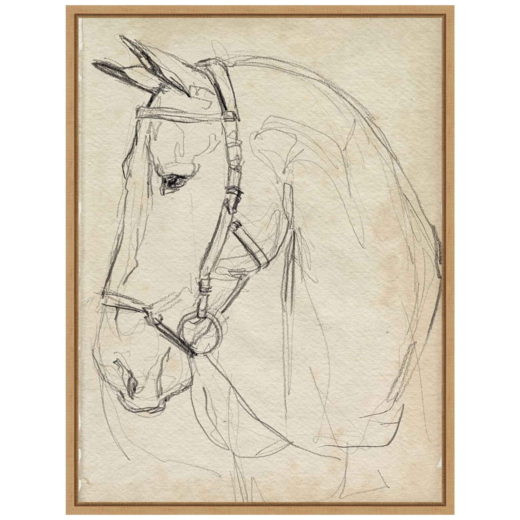 Sylvie Maple Framed Horse Sketch Canvas Art 23x30