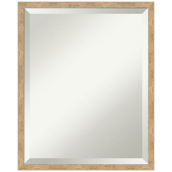 Amanti Art Imprint Light Bronze Beveled Wood Wall Mirror 21 x 17 in.