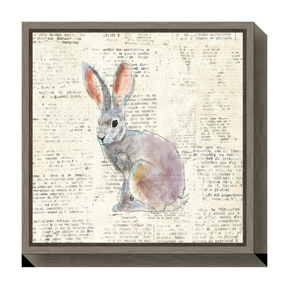 Amanti Art Into the Woods I no Border (Hare) Framed Canvas Wall Art