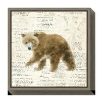 Amanti Art Into the Woods VI no Border (Bear) Framed Canvas Wall Art