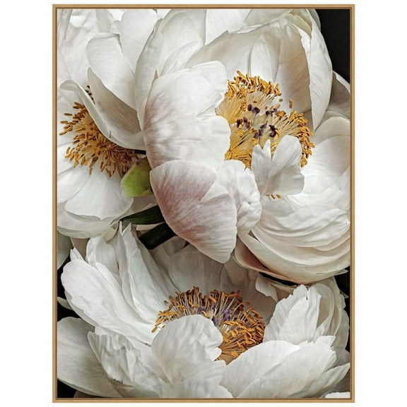Amanti Art Ivory Flowers Framed Canvas Wall Art Print