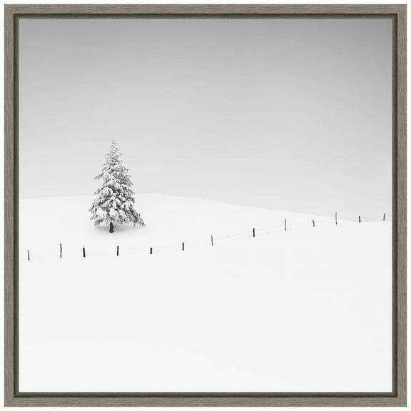 Amanti Art Lone Tree in Snow Framed Canvas Wall Art Print