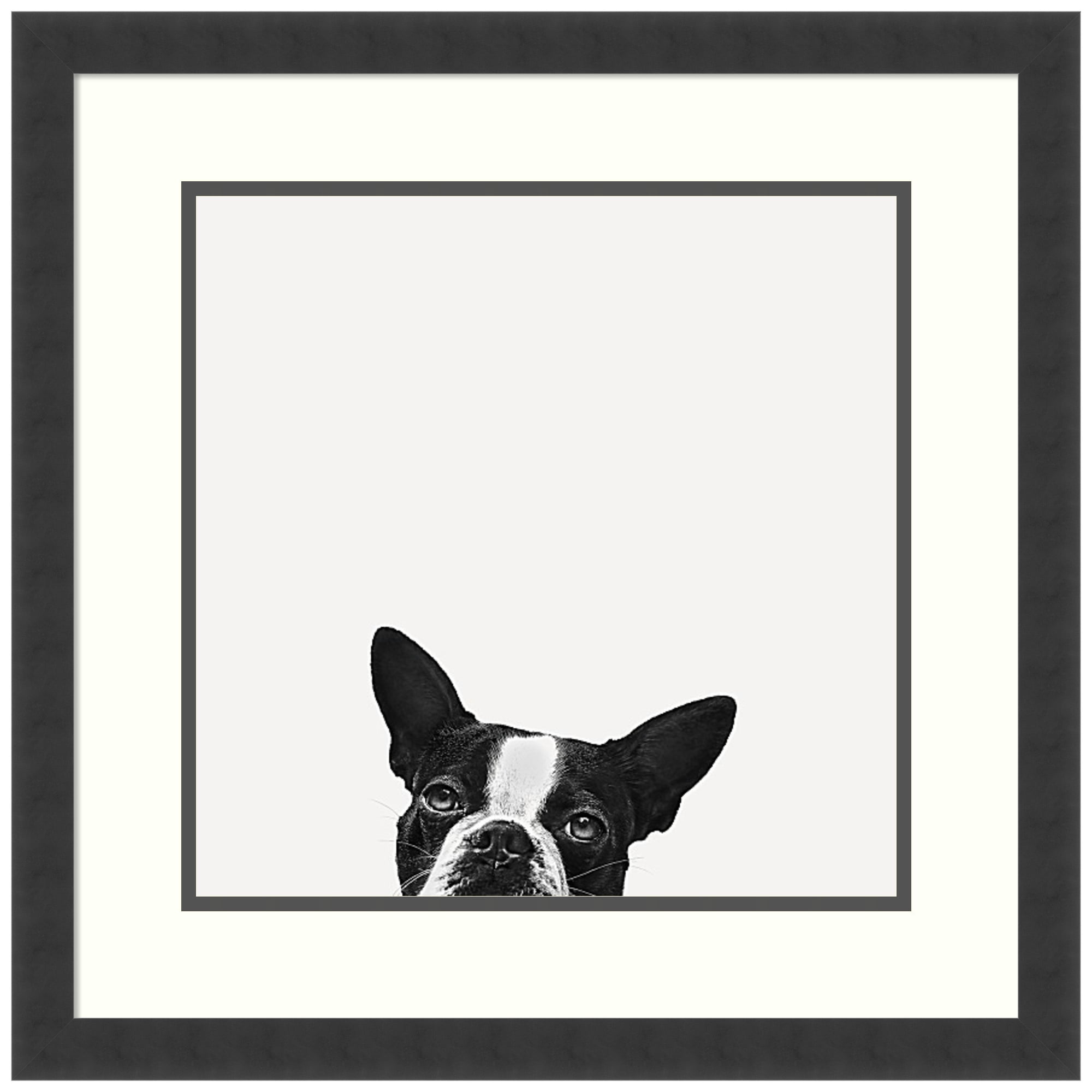Loyalty Black and White Dog Framed Print