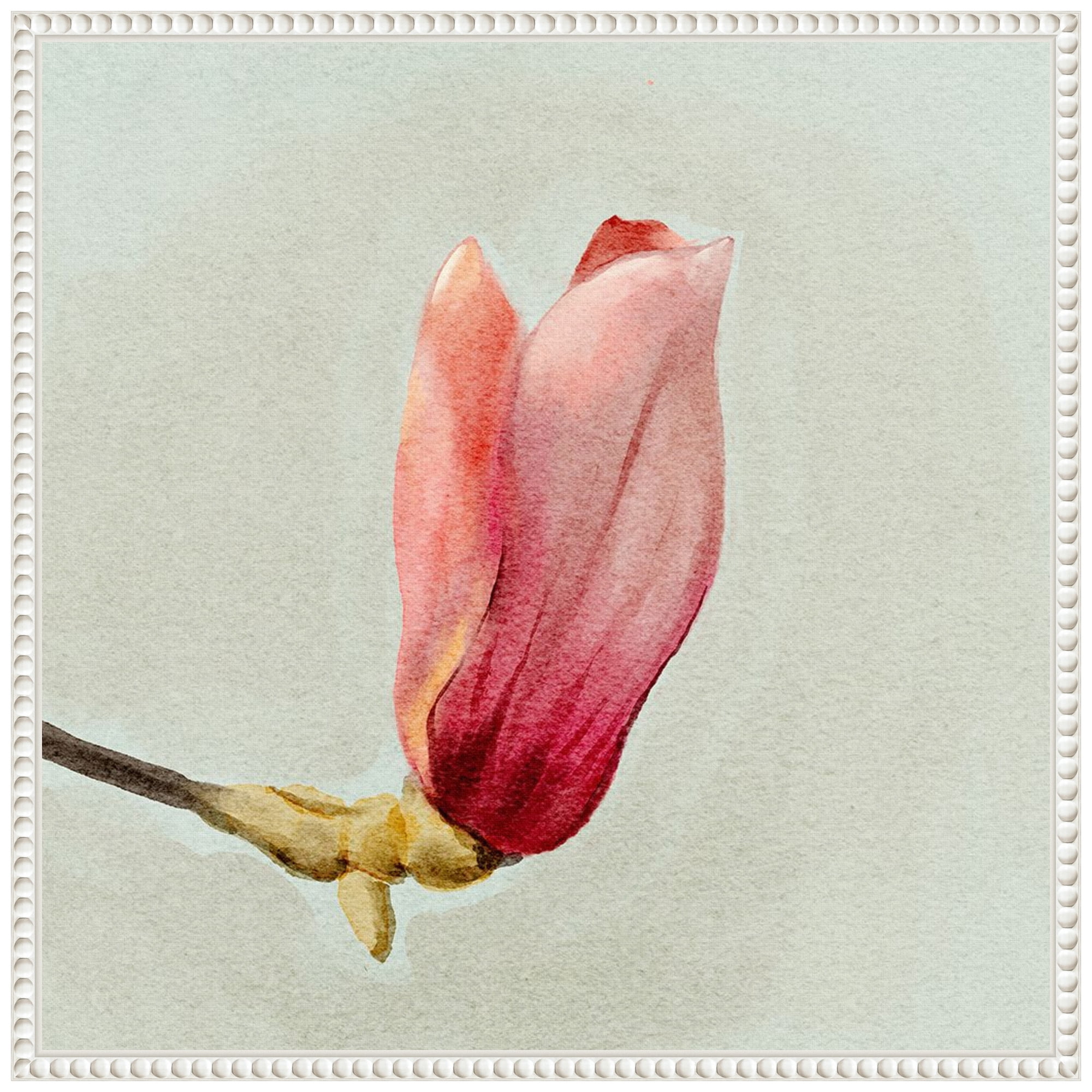 Magnolia Bud I White Floater Frame Canvas Wall Art